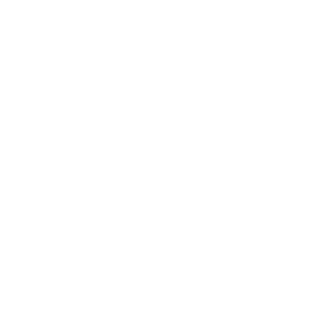 FLORIDA LOGO BLANCO