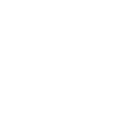 FLORIDA LOGO BLANCO