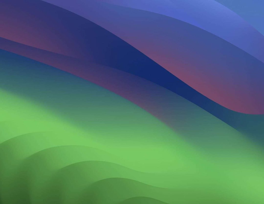 animated-shape-divider-hero-bg.jpg animated-shape-divider-hero-bg.jpg